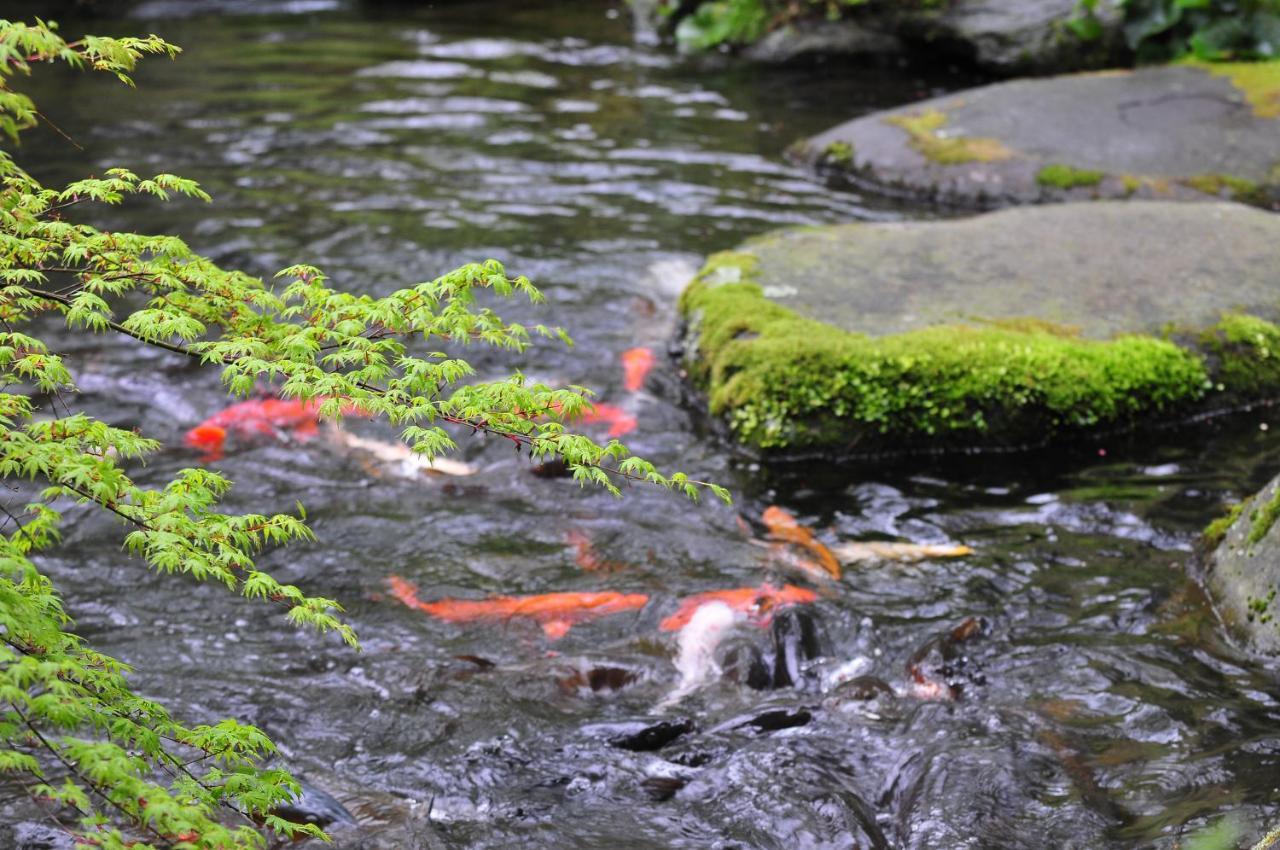 Yoshiike Ryokan ฮาโกเน่ ภายนอก รูปภาพ